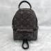Louis Vuitton Palm Springs PM 
